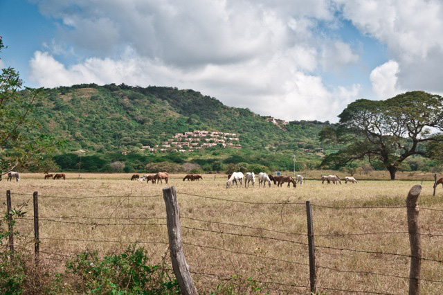 farm tour