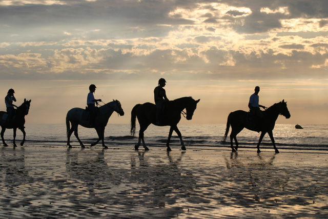 horseback riding